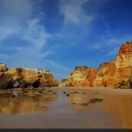 Charming Monte On Floor. アパート ポルティマン