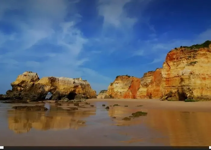 Charming Monte On Floor. アパート ポルティマン