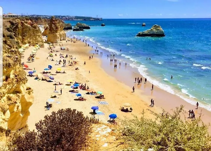 Charming Monte On Floor. * ポルティマン